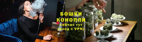 сатива Мегион