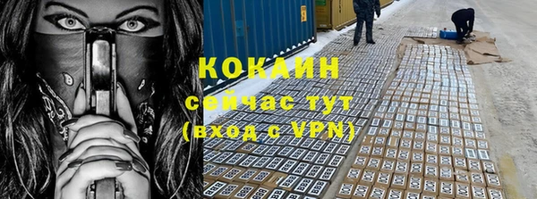 сатива Мегион