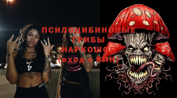 эйфоретик Медвежьегорск