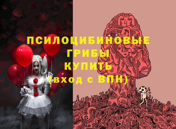 эйфоретик Медвежьегорск