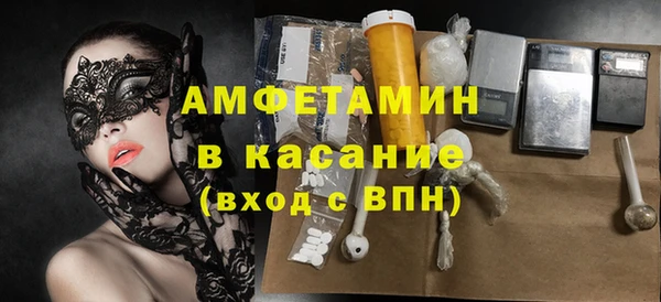 сатива Мегион