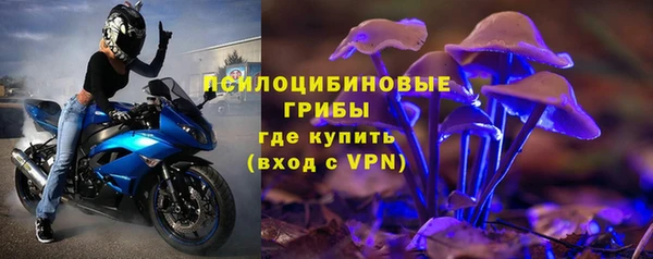 эйфоретик Медвежьегорск