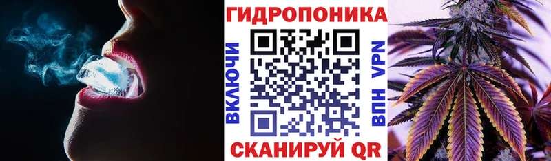 Марихуана White Widow  что такое   Куса 